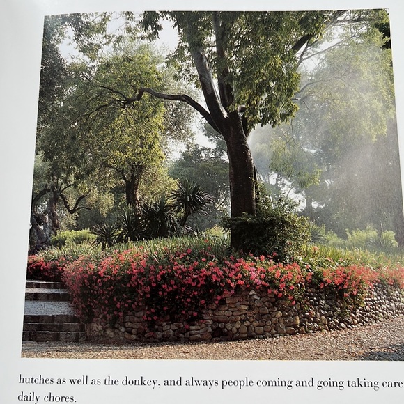 Renoir’s Garden Celebration of the Garden that inspired worlds greatest painter - Picture 9 of 16